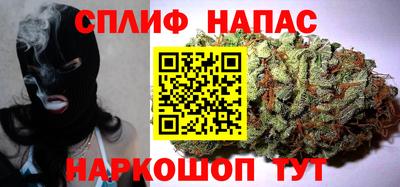 скорость Бийск