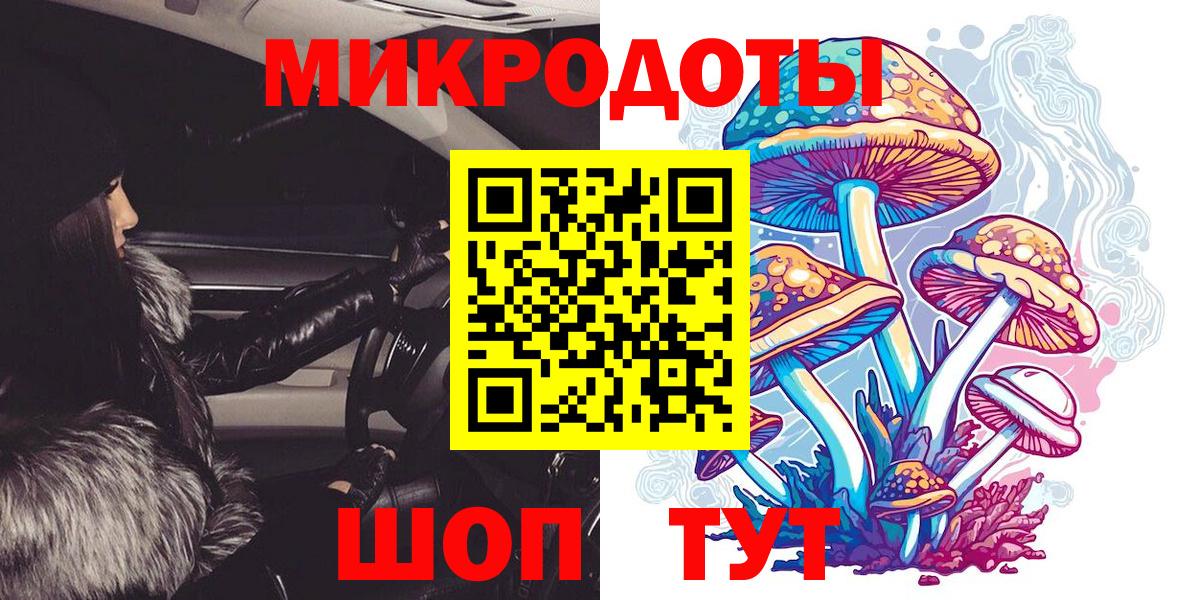 Гудермес  Псилоцибиновые грибы Magic Shrooms  Псилоцибиновые грибы Psilocybe  Вход с VPN 