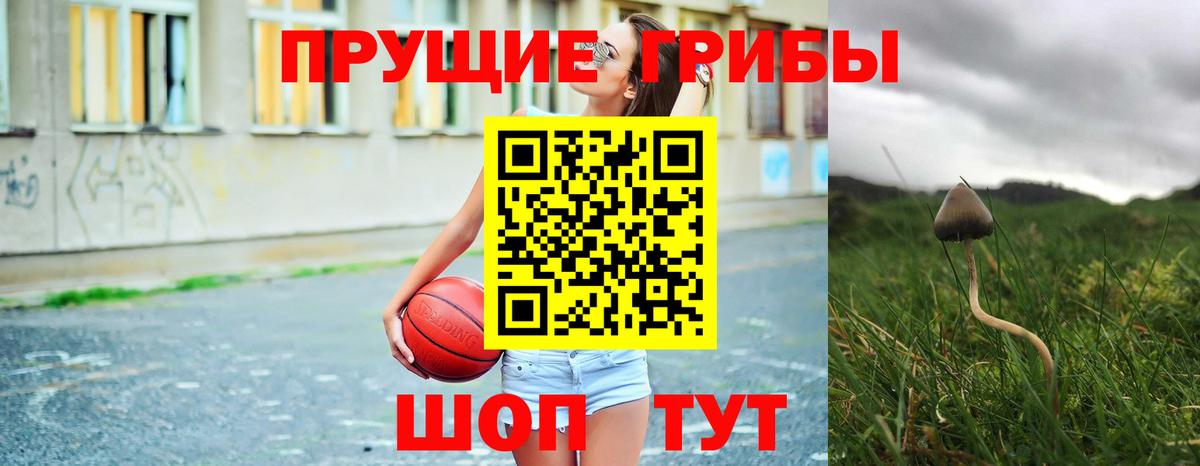 Галлюциногенные грибы ЛСД Гудермес