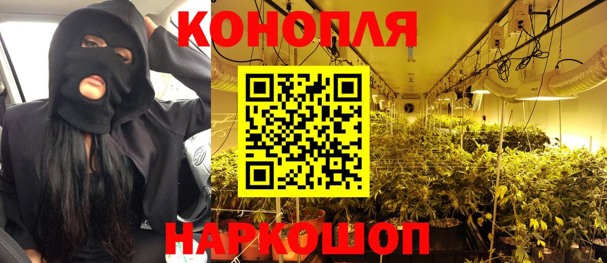 Бошки Шишки OG Kush Гудермес